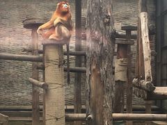 -辛玛王国游乐园