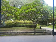 -南宁荔园维景国际酒店·荔园中餐厅
