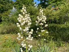 -昆山城市生态森林公园
