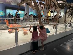 -国家自然博物馆