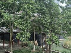 -龙潭水乡