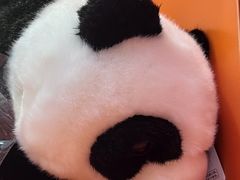 -熊猫邮局(少城店)