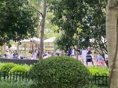 -陆家嘴中心绿地