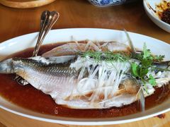 钱湖四宝-朋鱼-宁波柏悦酒店·钱湖渔港