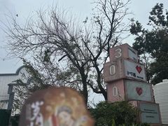 -茶颜悦色(岳麓山顶店)