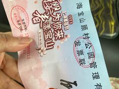 -顾村公园