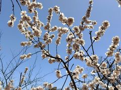 -北京凤凰岭