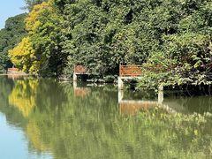 -金山公园