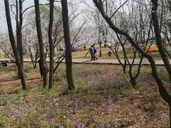 -棋盘山风景区