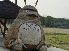 -嘉北郊野公园