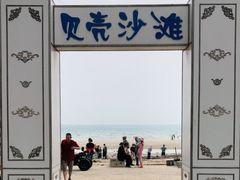 -贝壳沙滩