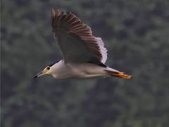 -重庆彩云湖湿地公园