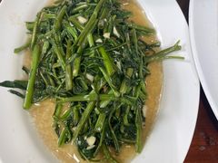 -绿光森林餐厅