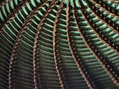 -天津戏剧博物馆