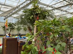 -南宫五洲植物乐园