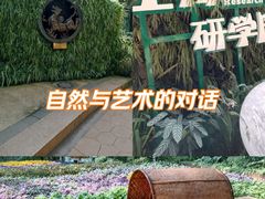 -花之城