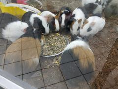 -欧尚超市苏州店停车场(金鸡湖路店)