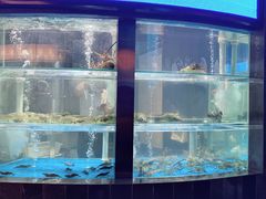 -1718海鲜姿造(苏宁宴请臻选店)