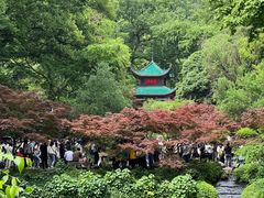 -岳麓山风景名胜区
