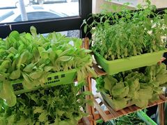 -广顺鑫猪肚鸡(经八路店)