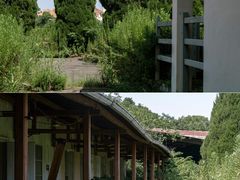 -平湖九龙山旅游度假区