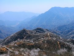 -大岭沟猕猴桃谷风景区