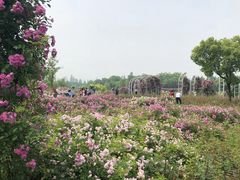 -尚贤河湿地