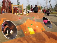 游乐设施-枫香湖儿童公园