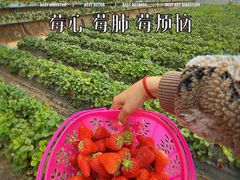 -兴芮温泉度假区