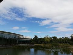 -南阳建业森林半岛假日酒店