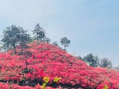 -木兰云雾山