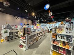 -浣熊唱片店(上海影城店)
