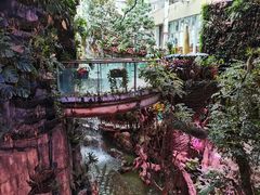 -正佳雨林生态植物园