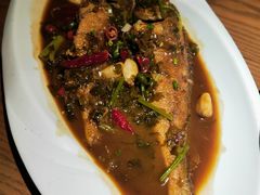 雪菜烧黄鱼-扬州狮子楼·非遗淮扬菜(东关街店)