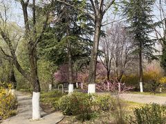 -宝鸡植物园