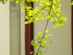 -雨花胜境