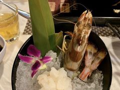 -鲜入围煮花胶鸡海鲜火锅