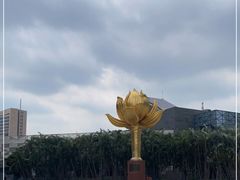-金莲花广场