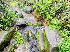 -中国茶叶博物馆(双峰馆区)