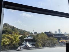 -七欣天香辣蟹火锅(南京建宁路大观天地店)
