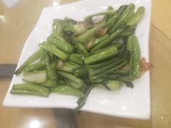 -鸿达渔港