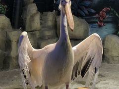 -绿色星球动物主题公园