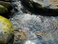 -沣峪口