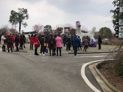 -武汉紫薇都市田园