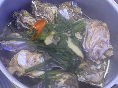 -千岛蚝高压锅生蚝·人参火锅(白云万达店)