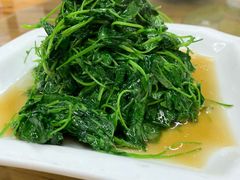 酒香金花菜-协和菜馆(凤凰街店)