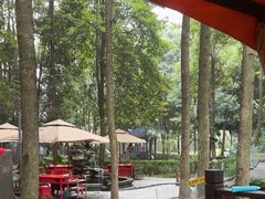 -二荆条·蜀鲜汇城市森林火锅