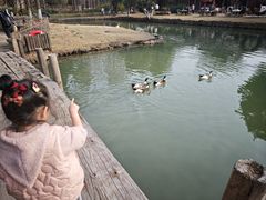 -乌村