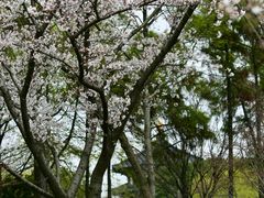 -寒山寺