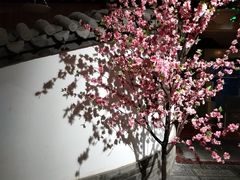 -和院老火锅铜锅烧烤海鲜(朱雀大街店)